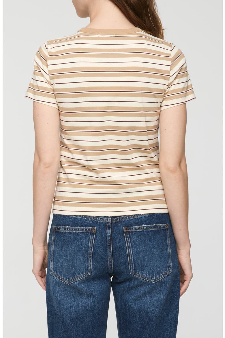 Alba Cotton T-Shirt, Alternate, color, TOASTED WHEAT STRIPE