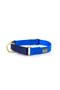 selected Cobalt + Navy - S