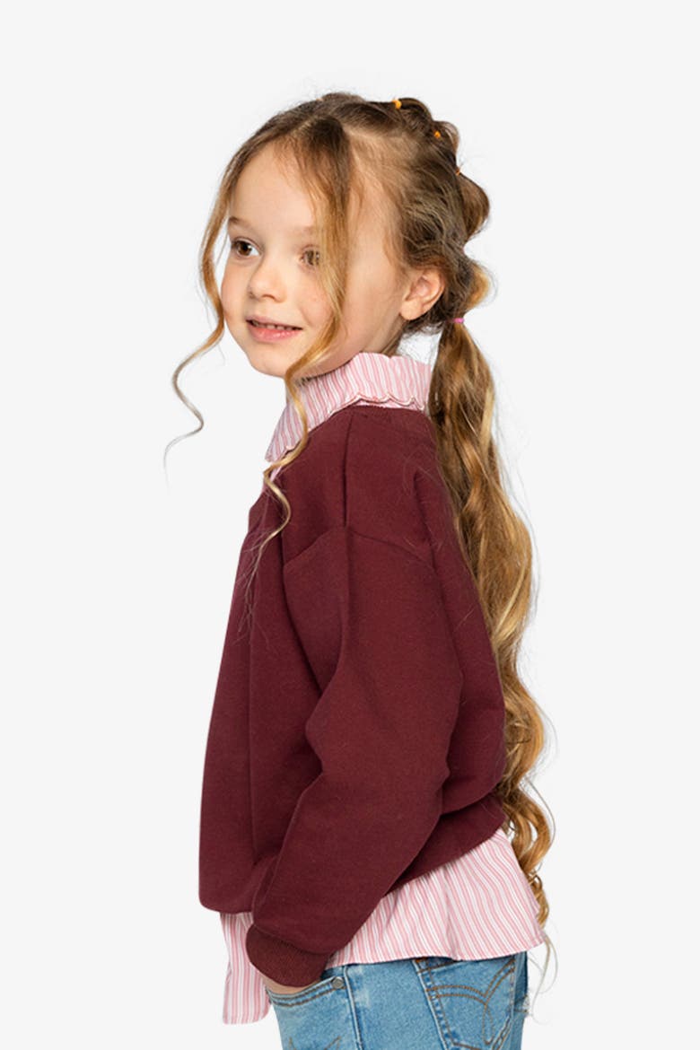 Fake Two Layer French Terry Layered Collar Sweater, Alternate, color, Reddish-Brown