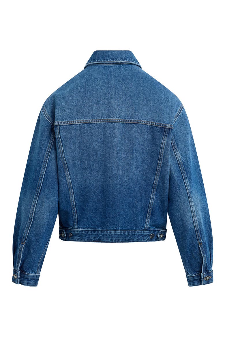 The Otto Boyfriend Denim Jacket, Alternate, color, VINTAGE CAMPBELL