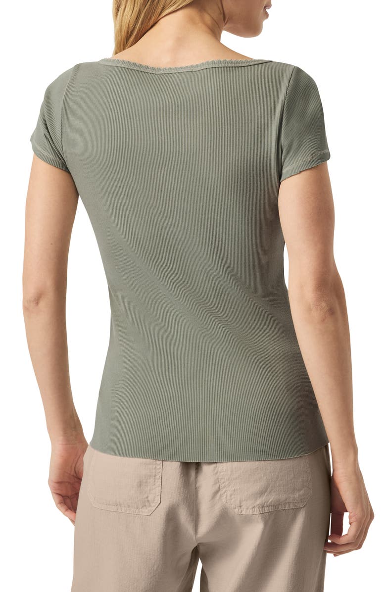 Splendid Posie Scoop Neck Ribbed T-Shirt, Alternate, color, Softvintage Olive Branch