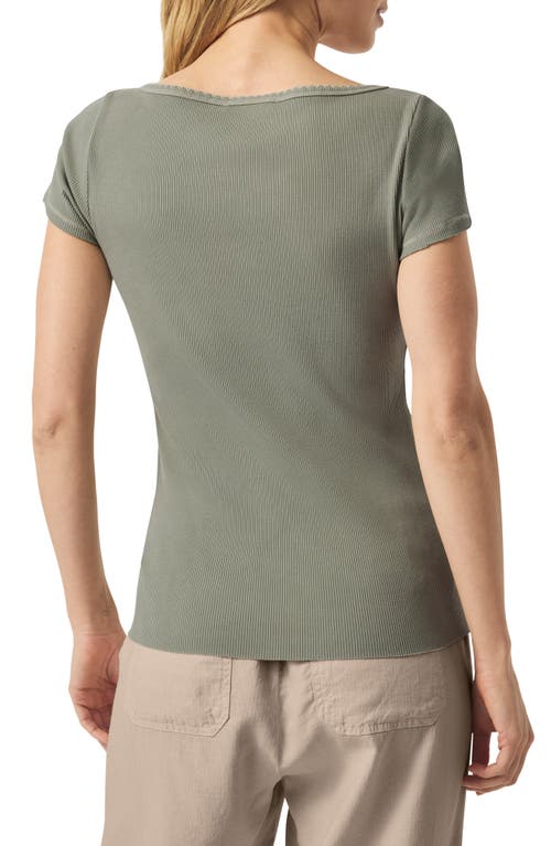 Splendid Posie Scoop Neck Ribbed T-shirt