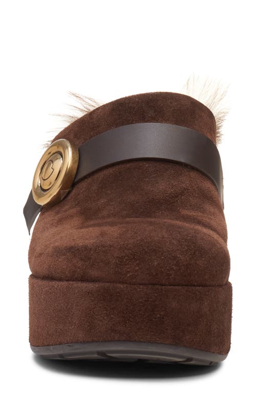 Moncler Xxmm Mule In Brown