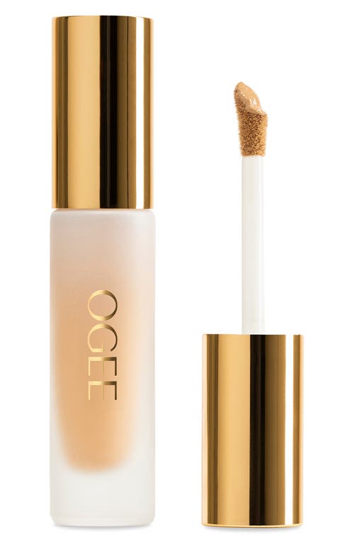 Ogee Complexion Perfecting Concealer In Green
