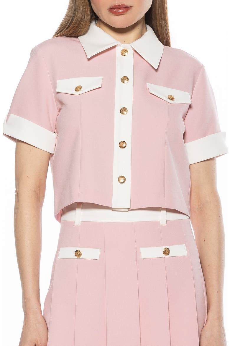 Emery Collared Button-Up Shirt, Main, color, PINK