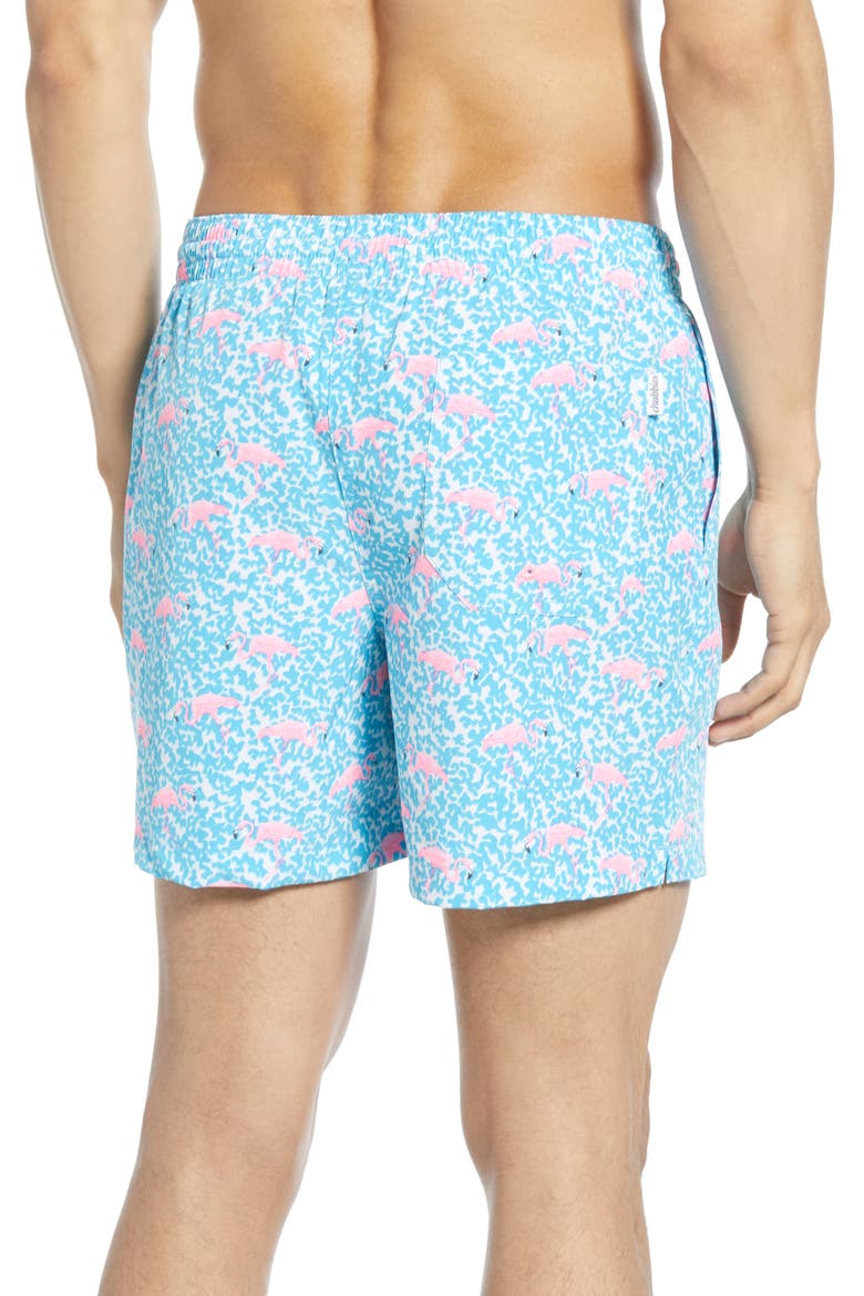 Domingos Flamingos 5.5-Inch Swim Trunks, Alternate, color, LIGHT BLUE FLAMINGO