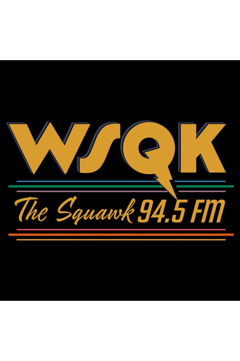 Netflix Boys' Stranger Things Vintage Radio The Squawk WSQK T Shirt, Alternate, color, Black