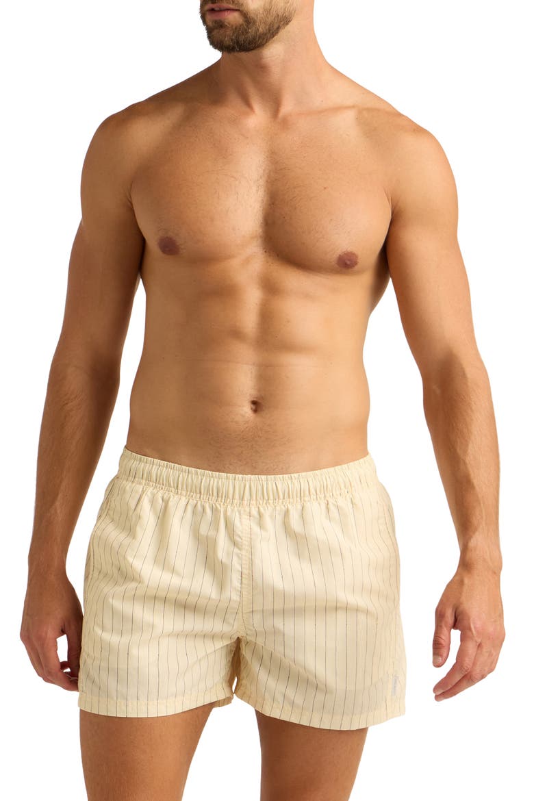 Print 4-Inch Nylon Swim Trunks, Main, color, TAILORED STRIPE/SEA SALT
