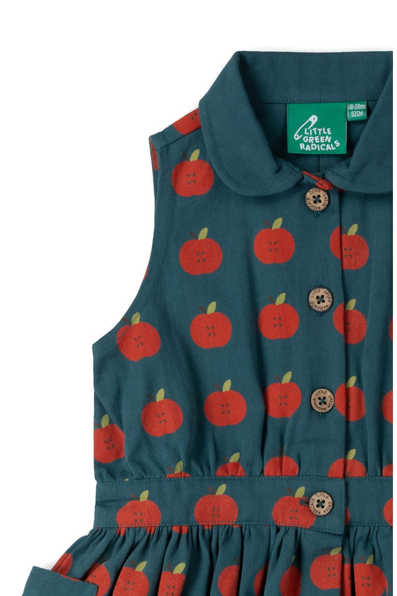 Kids' Apple Print Organic Cotton Dress, Alternate, color, BLUE