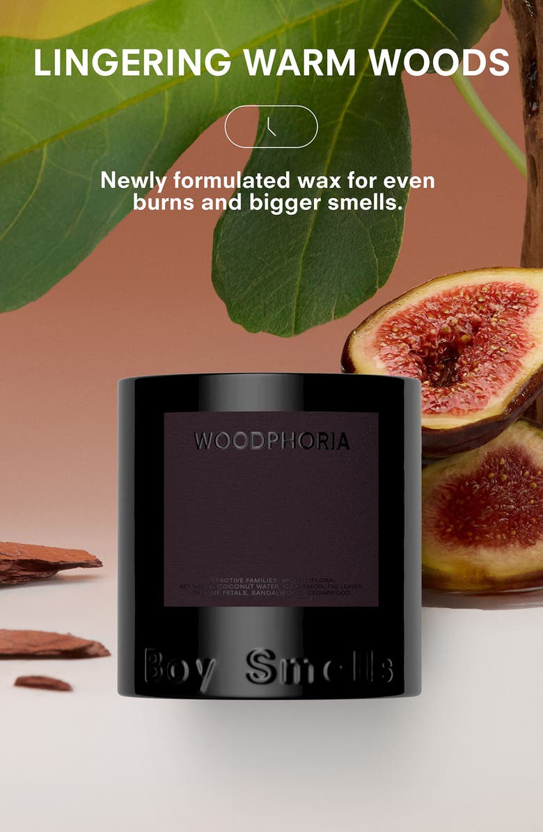 Boy Smells Woodphoria Candle, Alternate, color, 