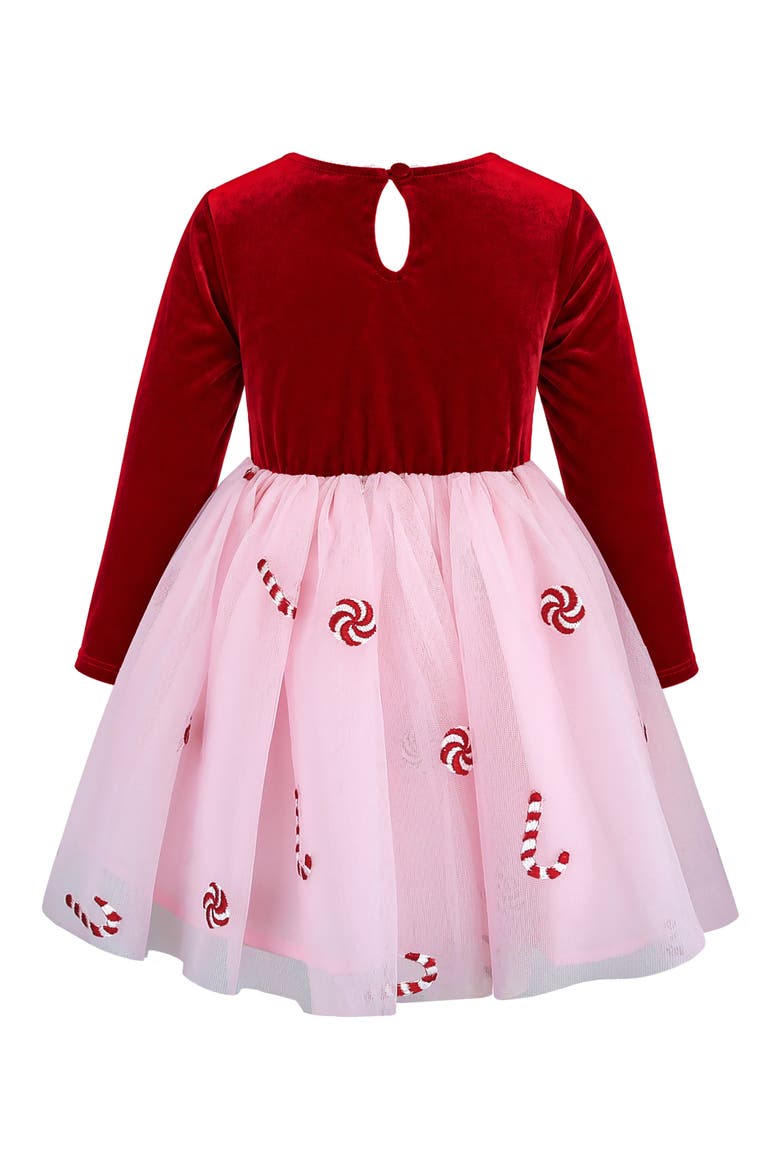 Velvet & Embroidered Mesh Dress, Main, color, RED/ PINK