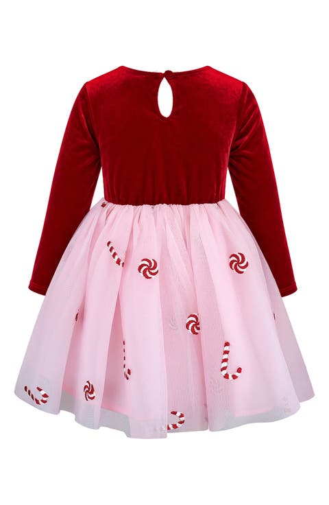 Velvet & Embroidered Mesh Dress