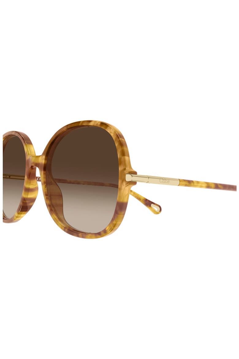 57mm Gradient Round Sunglasses, Alternate, color, SHINY HAVANA BLONDE