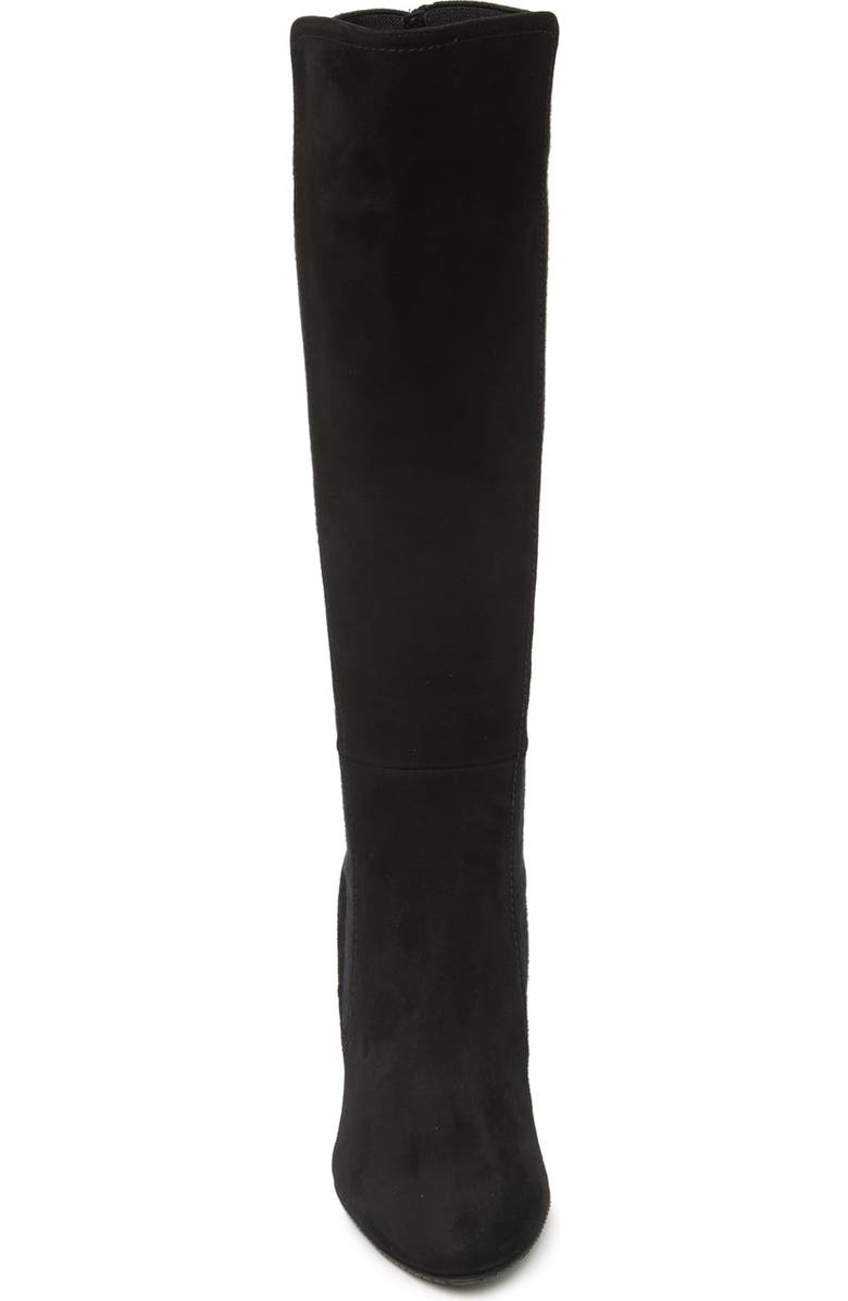Stuart Weitzman Livia Suede Tall Boot, Alternate, color,