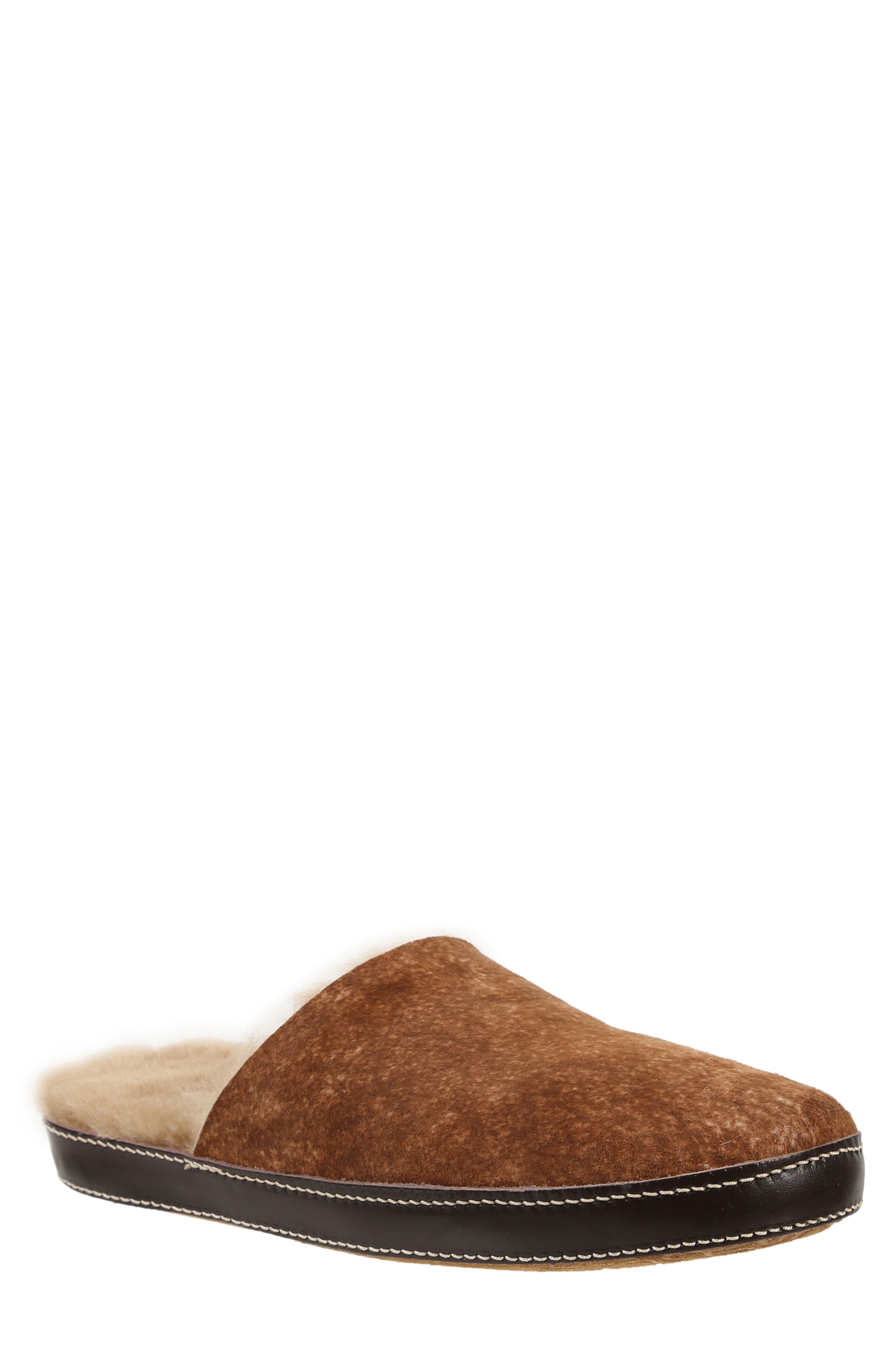 Ross & Snow Treviso Genuine Shearling Slipper, Main, color, 