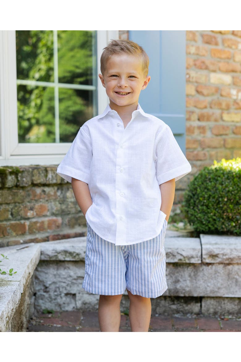 Stripe Linen Look Short, Alternate, color, Light Blue / White