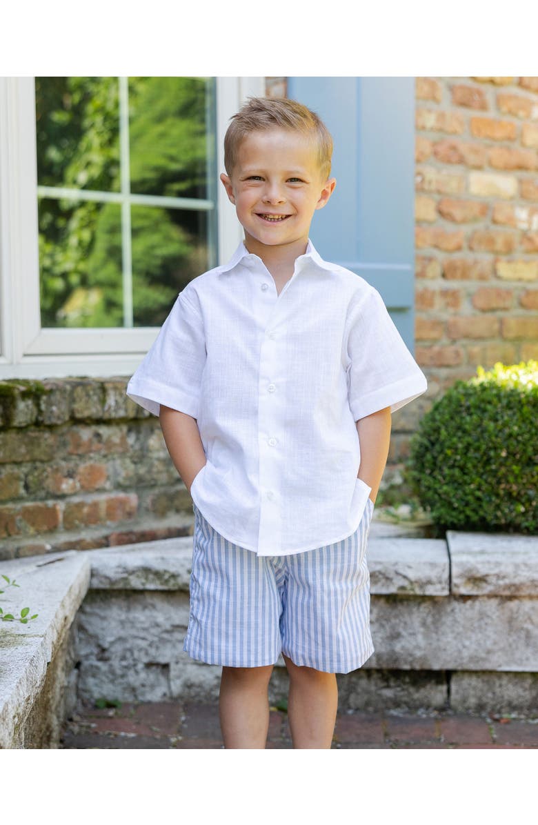 Florence Eiseman Stripe Linen Look Short, Alternate, color, Light Blue / White