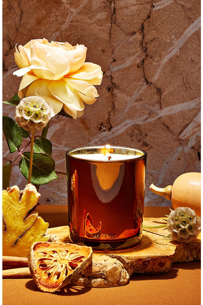 Pumpkin Ginger Classic Scented Candle, Alternate, color, RUST/COPPER