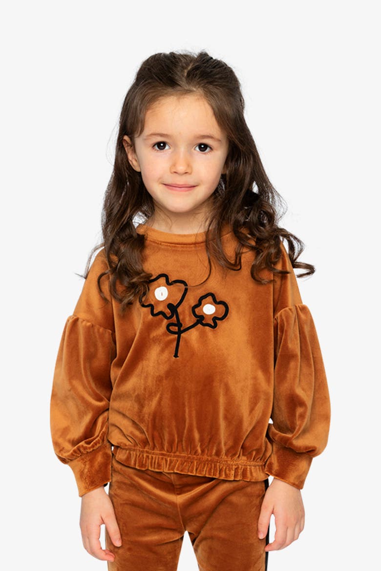 Velvet Shimmer Flower Appliqué Elastic Hem Top, Alternate, color, Brown