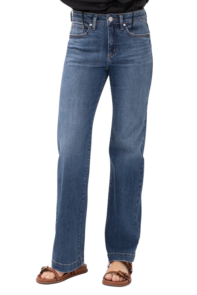 Avery Curvy Relaxed Straight Leg Trouser Jeans, Main, color, FOLK