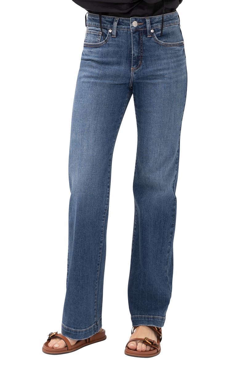 Silver Jeans Co. Avery Curvy Relaxed Straight Leg Trouser Jeans, Main, color,