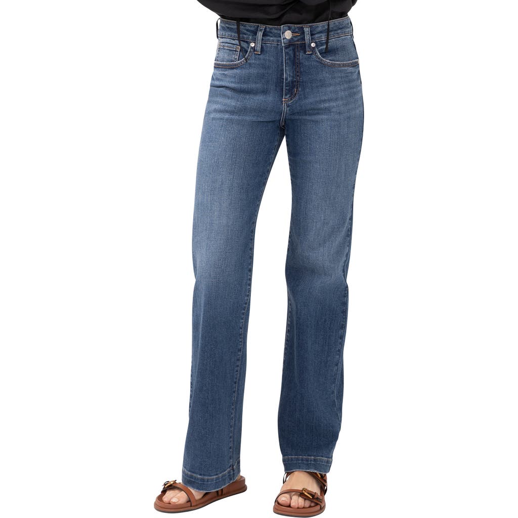 Silver Jeans Co. Avery Curvy Relaxed Straight Leg Trouser Jeans in Folk  product