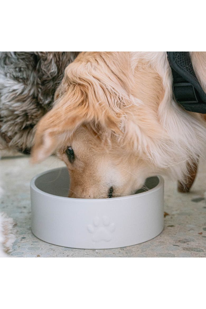 Ceramic Dog Bowl White 50oz Pet Feeding Dish, Alternate, color, White
