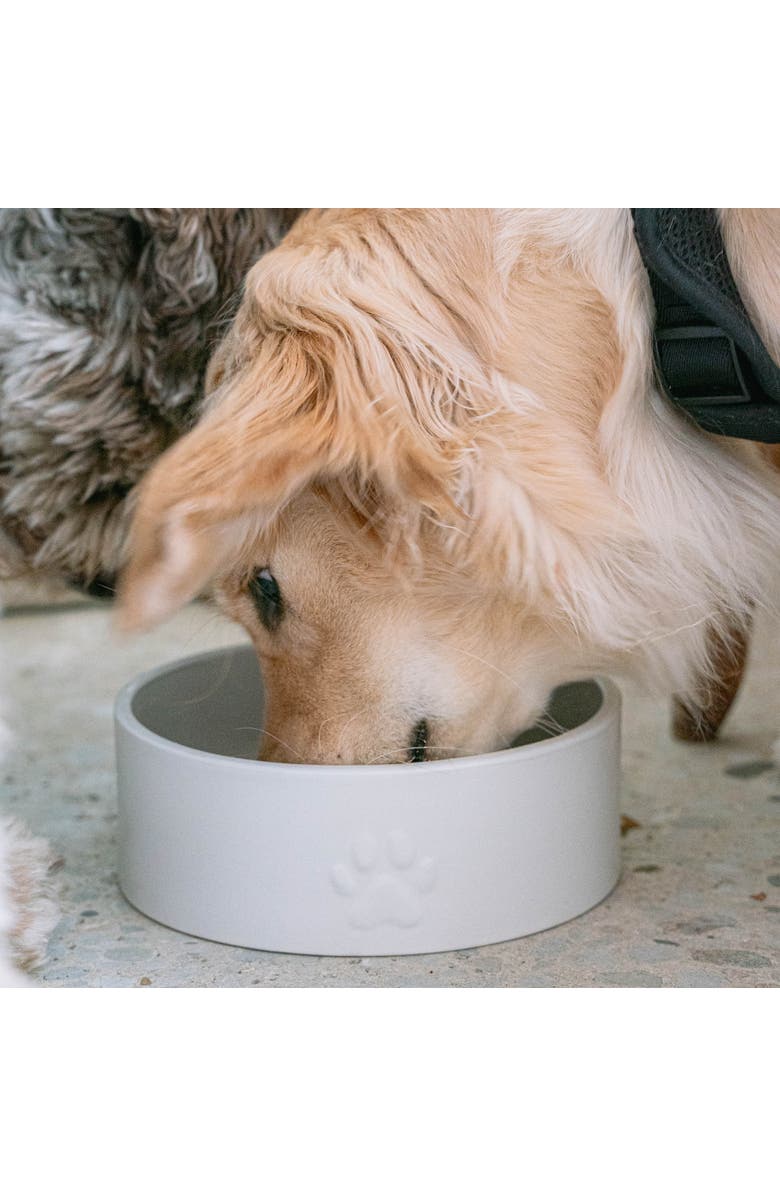 Dexypaws Ceramic Dog Bowl White 50oz Pet Feeding Dish, Alternate, color, White