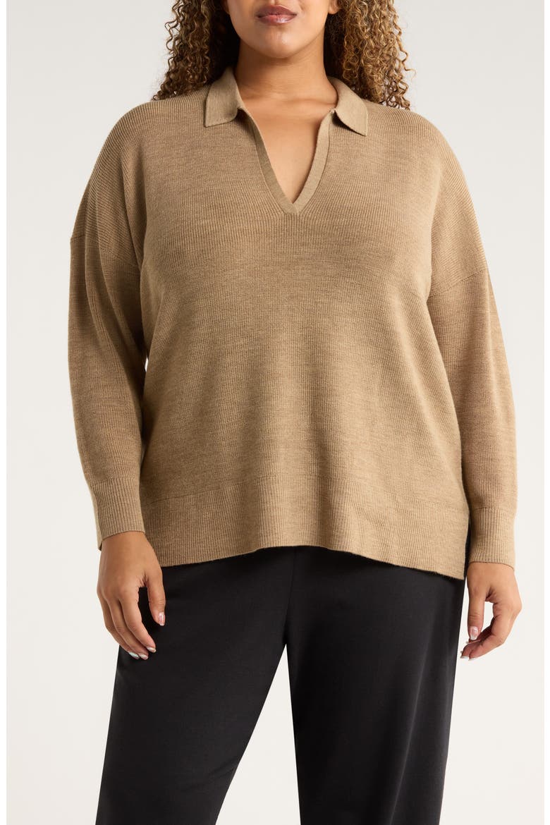 Classic Collar Merino Wool Sweater, Main, color, BISCUIT