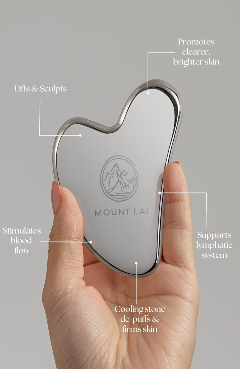 MOUNT LAI Stainless Steel Gua Sha, Alternate, color, Stainless Steel