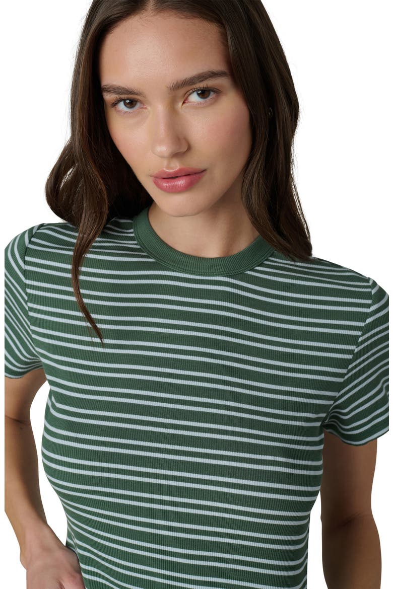 The Stripe Rib Baby T-Shirt, Alternate, color, CILANTRO/SKY STRIP