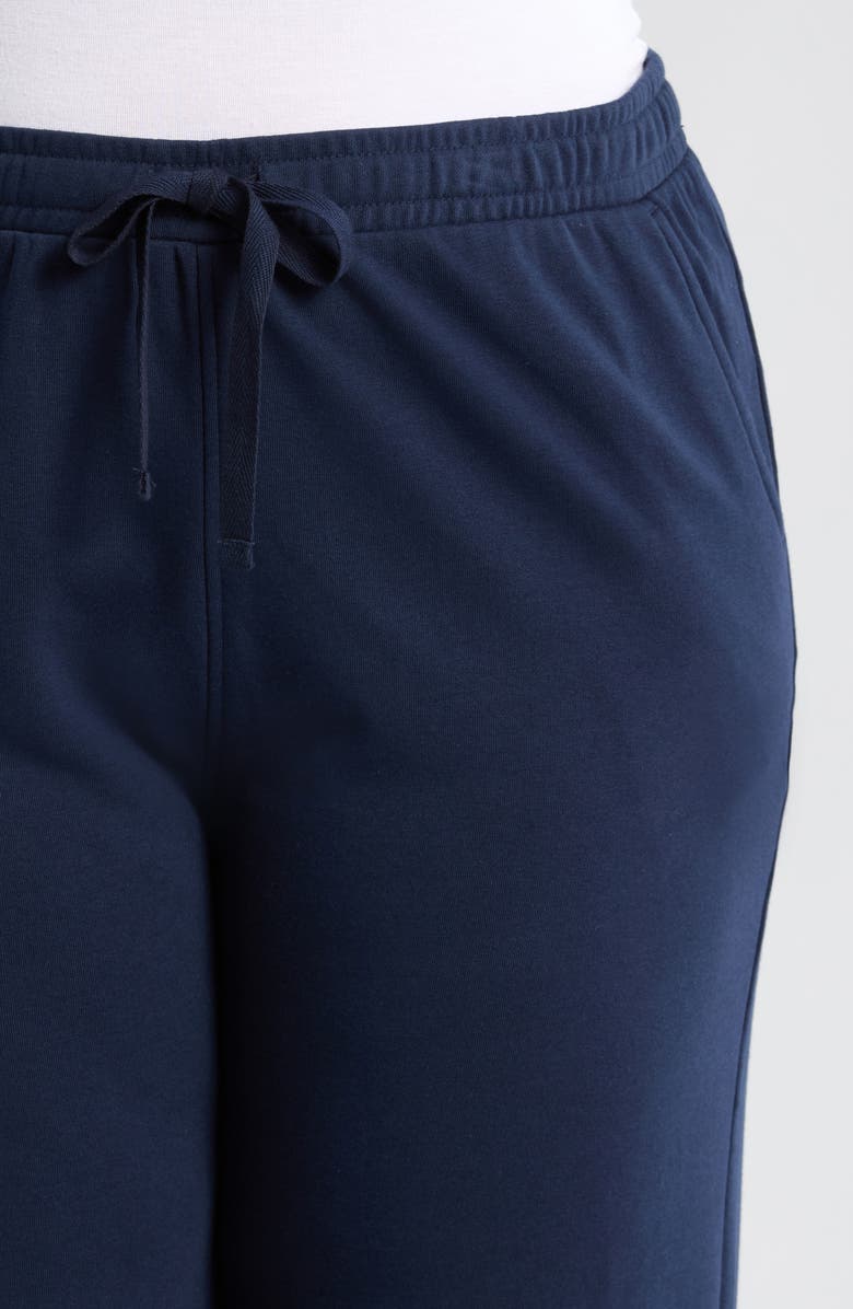 Caslon<sup>®</sup> Straight Leg Sweatpants, Alternate, color,