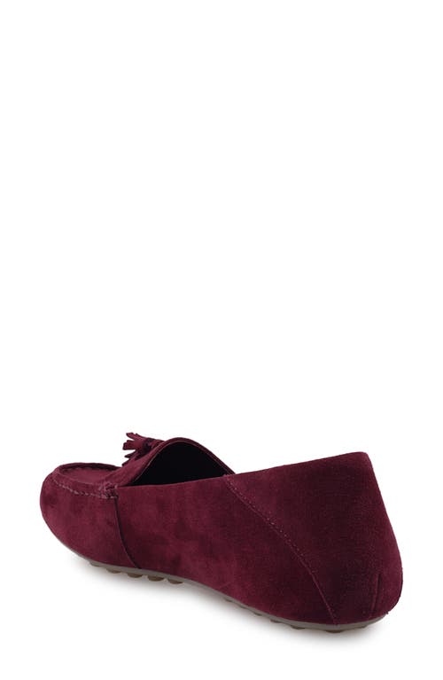 Artisan Crafted By Zigi Patsy Tassel Loafer