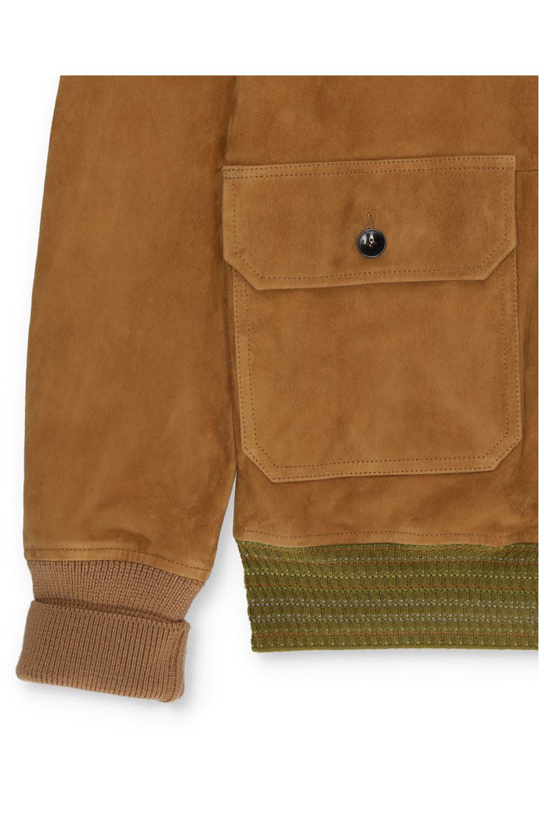 Cruiser Suede Bomber Jacket, Alternate, color, CAMEL