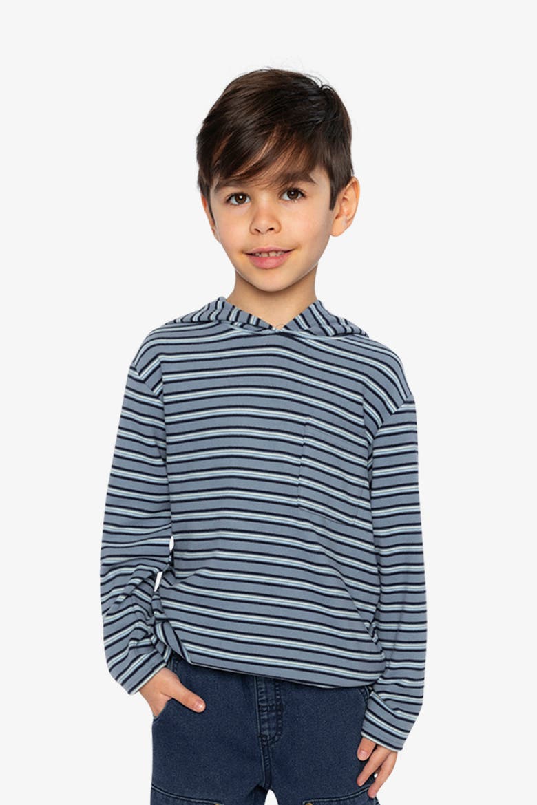 Striped Brushed Jersey Hooded Long Sleeve T-Shirt, Alternate, color, Blue Striped White