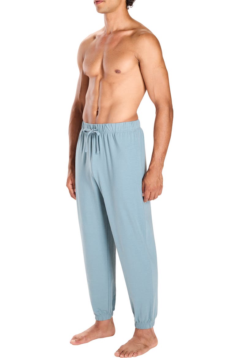 Stretch Cotton Blend Lounge Pants, Alternate, color, TROOPER
