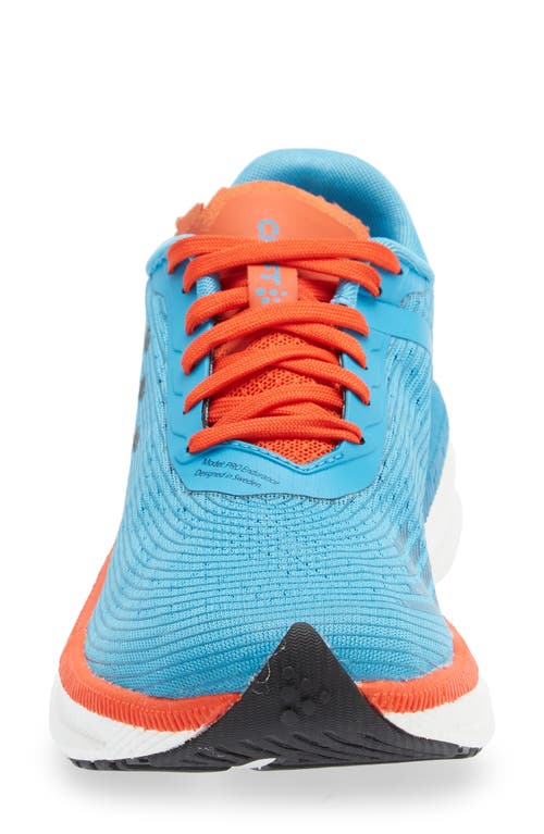 Craft Pro Endur Distance Running Shoe In Zenith-flex