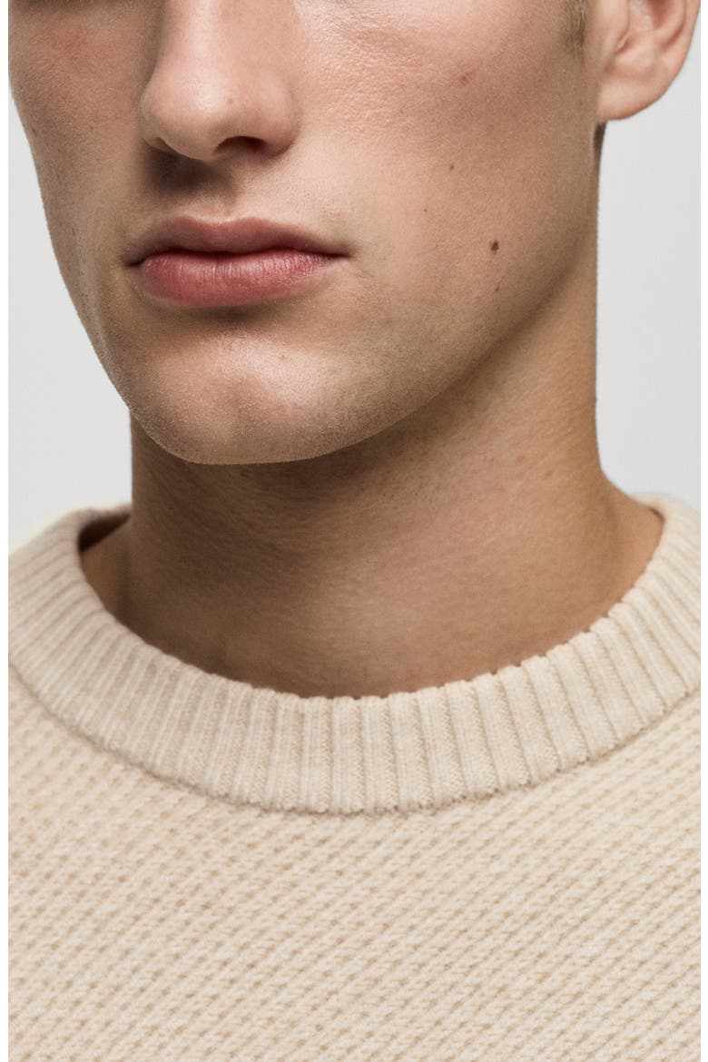 Regular Fit Sweater, Alternate, color, SAND