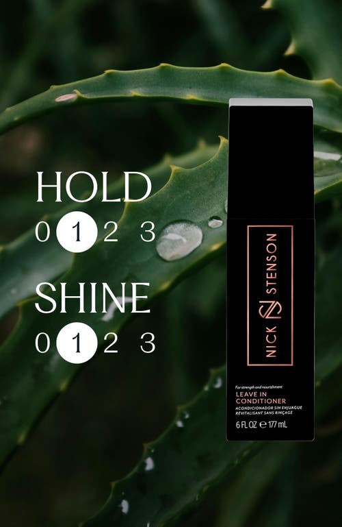 Nick Stenson Beauty Leave In Conditioner