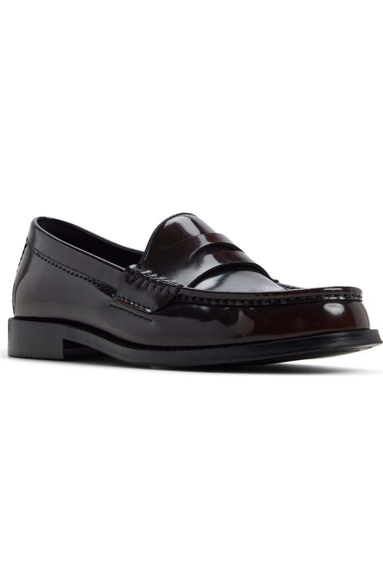 ALDO Ludovik Penny Loafer, Main, color,