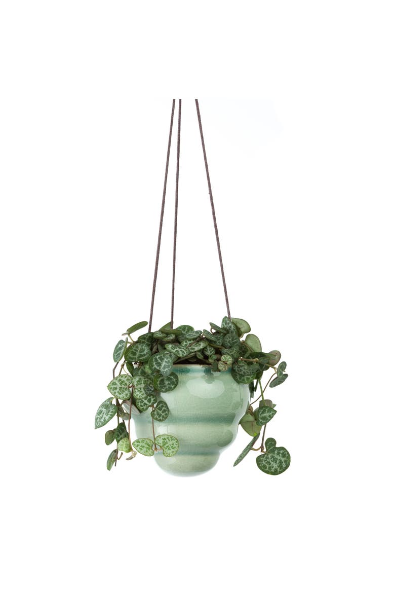 Hanging Baby Bombini Trio Vases, Alternate, color, Stone