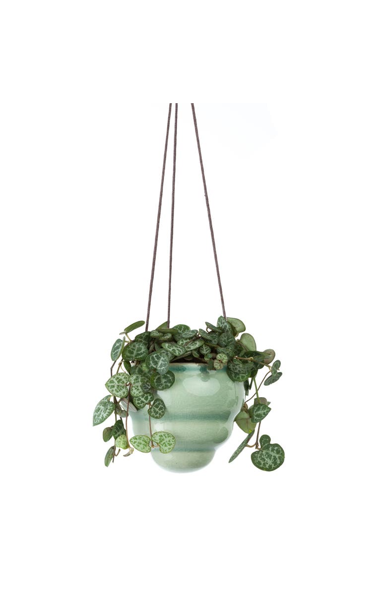 Burgon & Ball Hanging Baby Bombini Trio Vases, Alternate, color, Stone