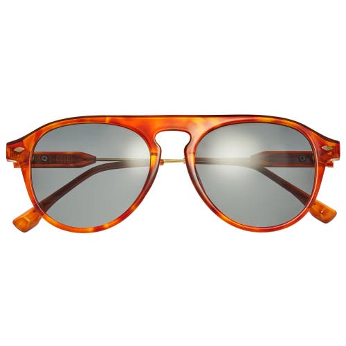 Simplify Carter Polarized Sunglasses In Tortoise/black