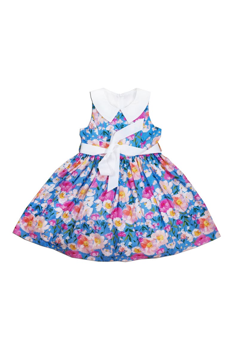 Kids' Emma Collared Floral Dress, Main, color, BLUE