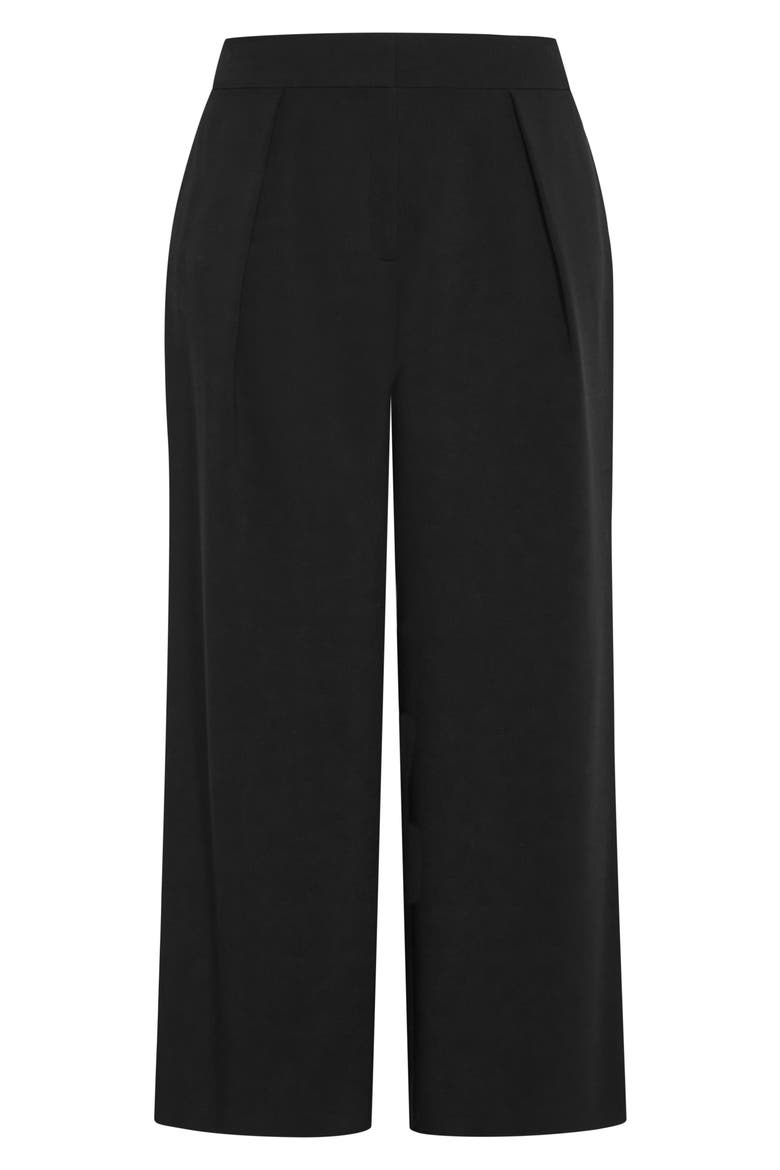 Dee Front Pleat Wide Leg Pants, Alternate, color, BLACK