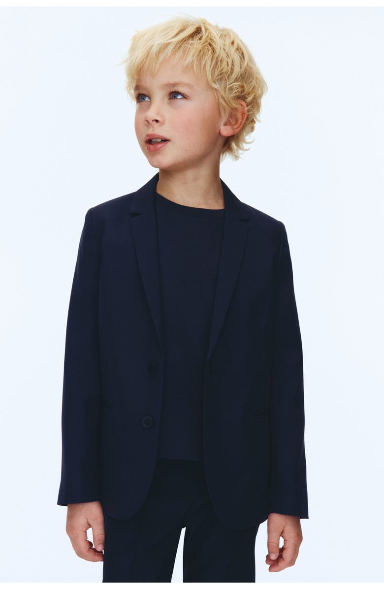 H&M Jacket, Alternate, color, 