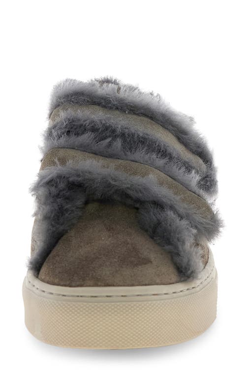 Voile Blanche Gretha Genuine Shearling Sneaker In Brown