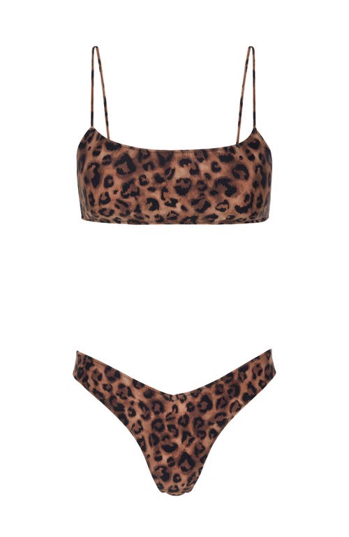 Sunkissed Le Sporty V-front Bikini Bottom In Leopard
