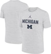 Jordan Brand Men's Jordan Brand White Michigan Wolverines Campus Slant Velocity Performance T-Shirt