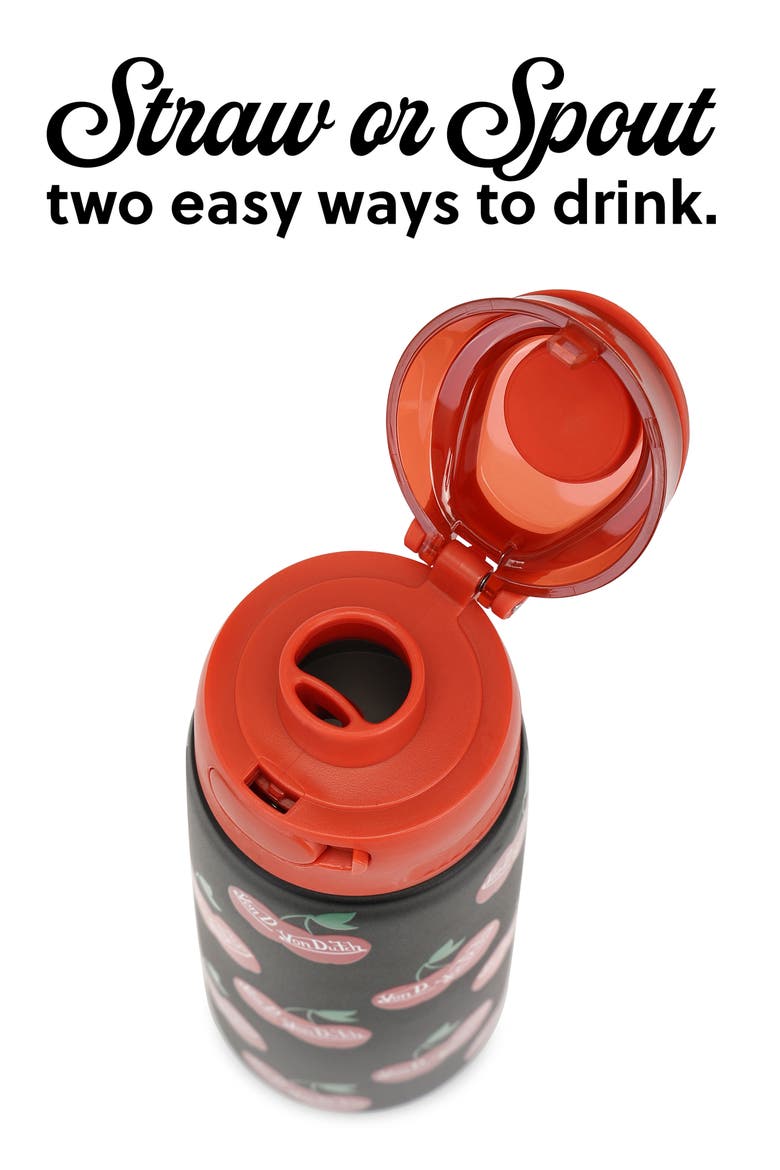 26oz Iconic Y2K Double Walled Insulated Stainless Steel Bottle, Alternate, color, Raining Cherries